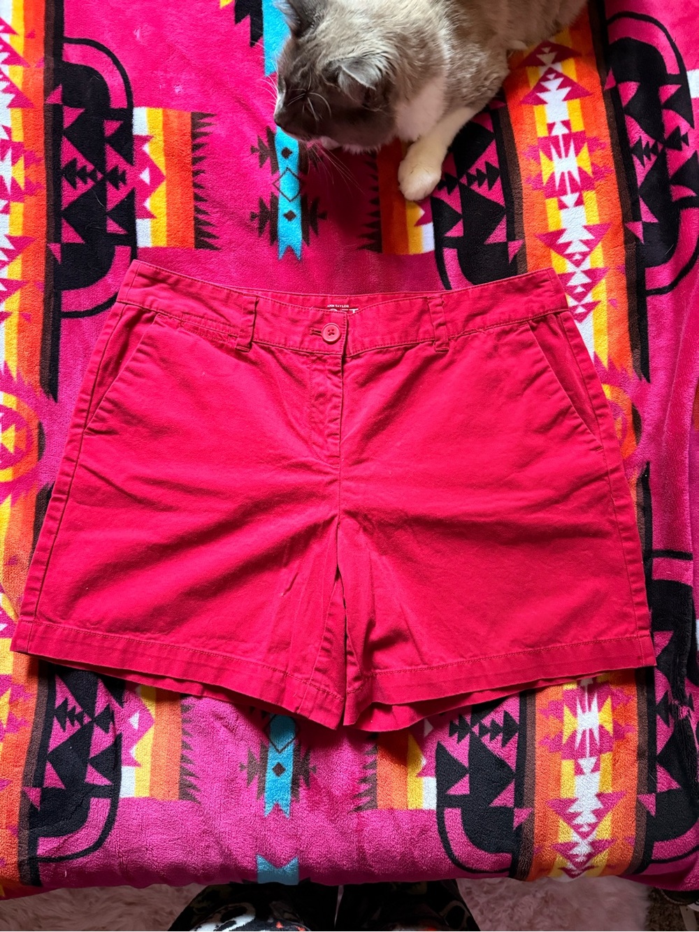 LOFT High-Rise Red-Pink Chino Shorts